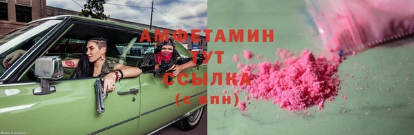 ПСИЛОЦИБИНОВЫЕ ГРИБЫ Арсеньев