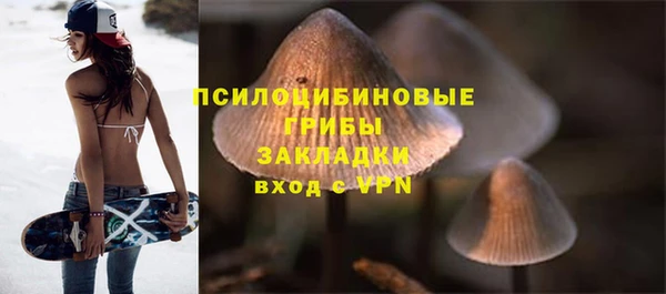 ПСИЛОЦИБИНОВЫЕ ГРИБЫ Арсеньев