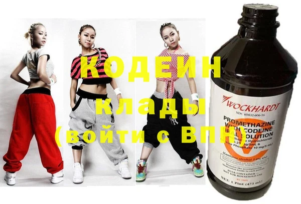 ПСИЛОЦИБИНОВЫЕ ГРИБЫ Арсеньев